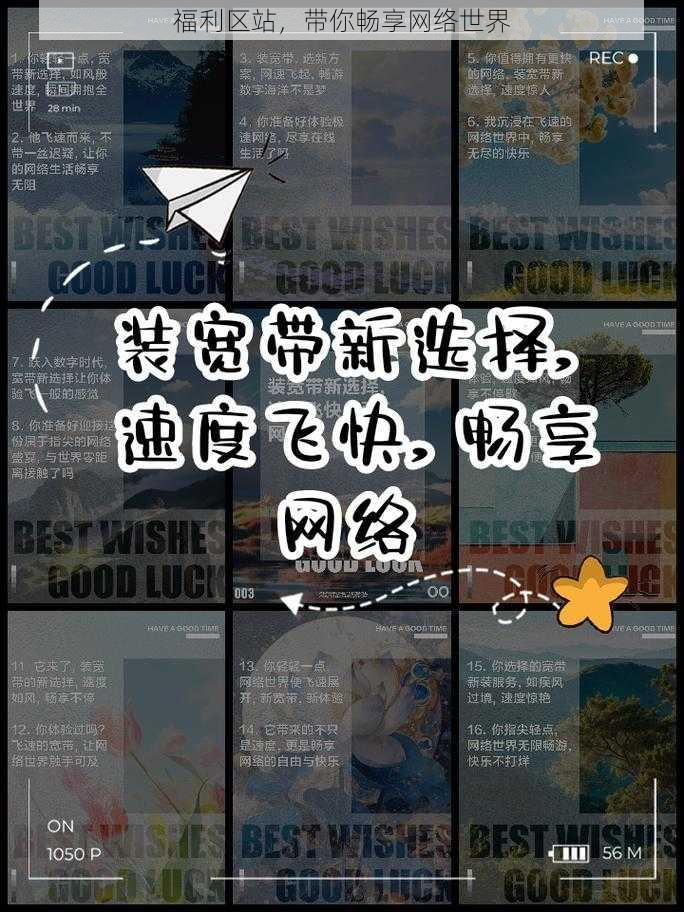 福利区站，带你畅享网络世界