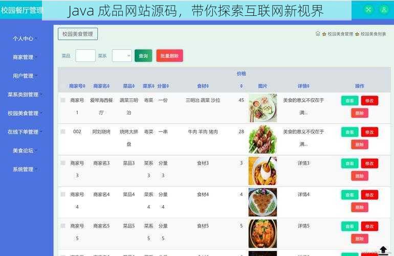 Java 成品网站源码，带你探索互联网新视界