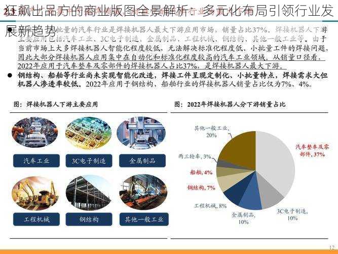 狂飙出品方的商业版图全景解析：多元化布局引领行业发展新趋势