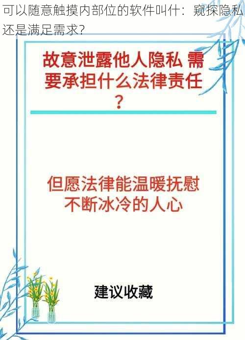 可以随意触摸内部位的软件叫什：窥探隐私还是满足需求？