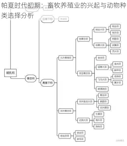 帕夏时代初期：畜牧养殖业的兴起与动物种类选择分析