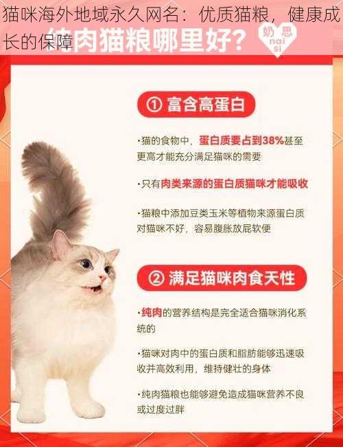 猫咪海外地域永久网名：优质猫粮，健康成长的保障