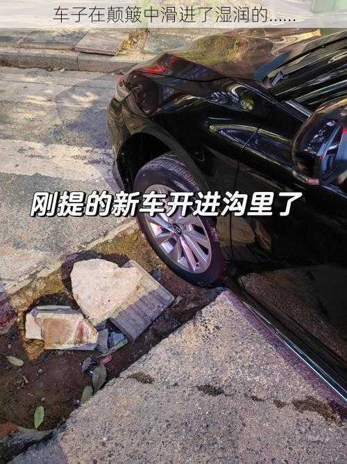 车子在颠簸中滑进了湿润的……