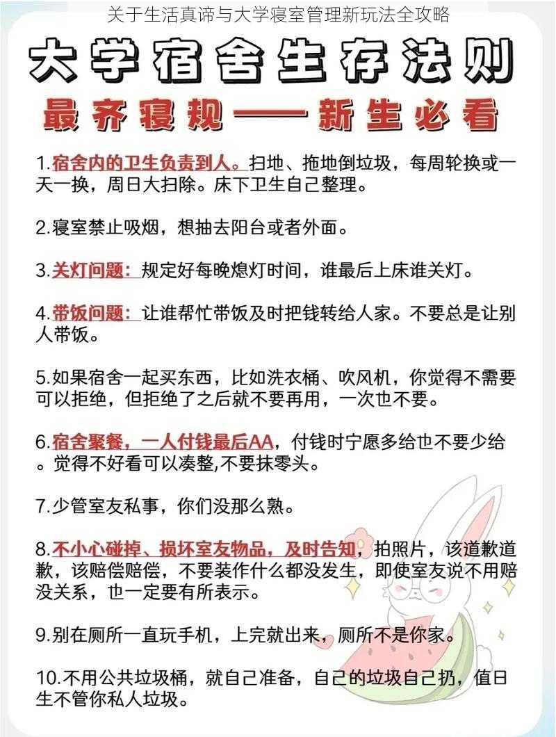 关于生活真谛与大学寝室管理新玩法全攻略