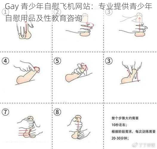 Gay 青少年自慰飞机网站：专业提供青少年自慰用品及性教育咨询