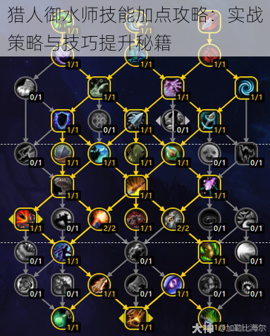 猎人御水师技能加点攻略：实战策略与技巧提升秘籍