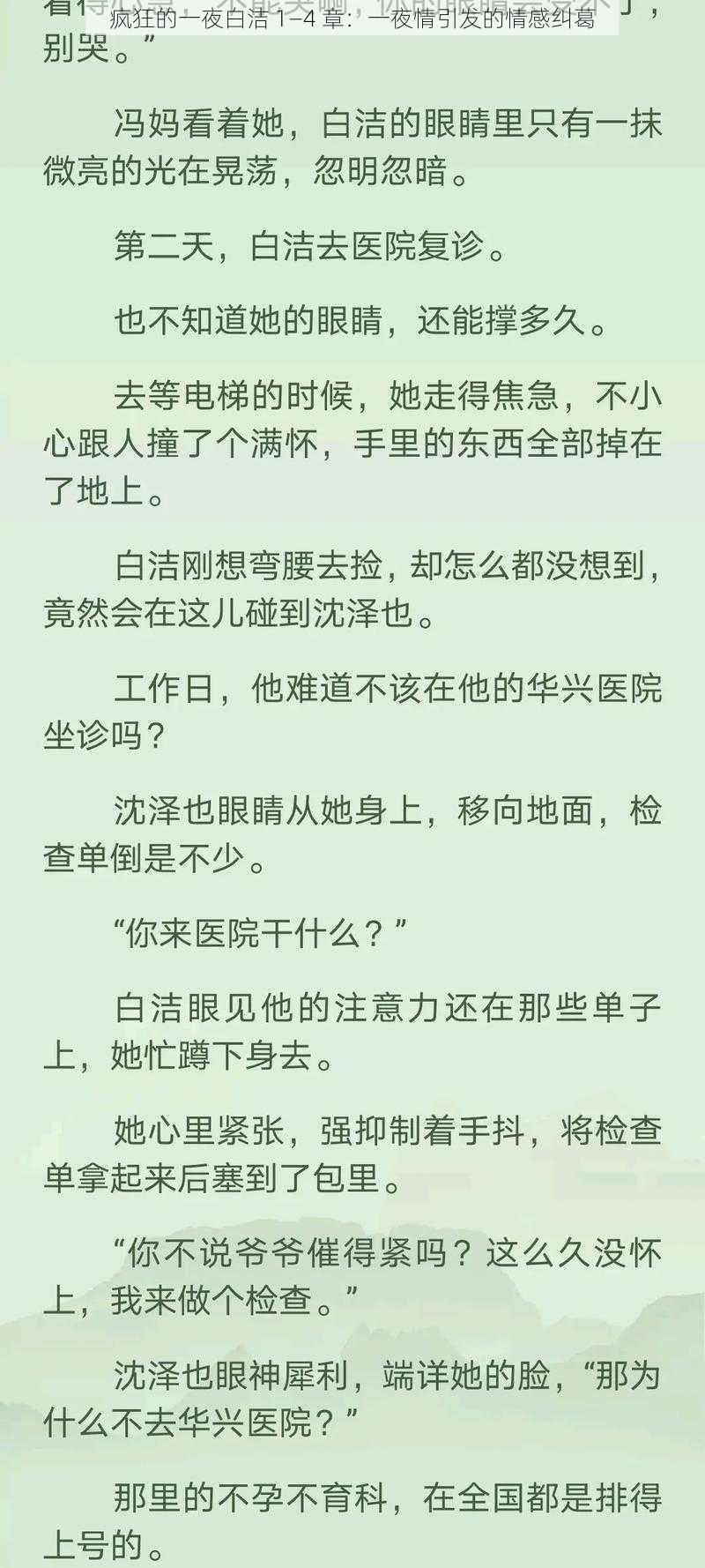 疯狂的一夜白洁 1—4 章：一夜情引发的情感纠葛