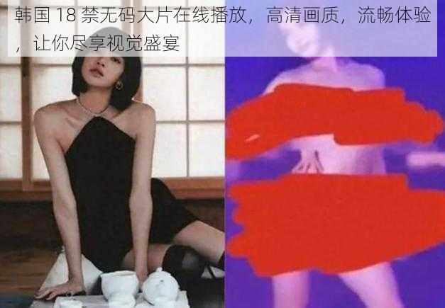 韩国 18 禁无码大片在线播放，高清画质，流畅体验，让你尽享视觉盛宴