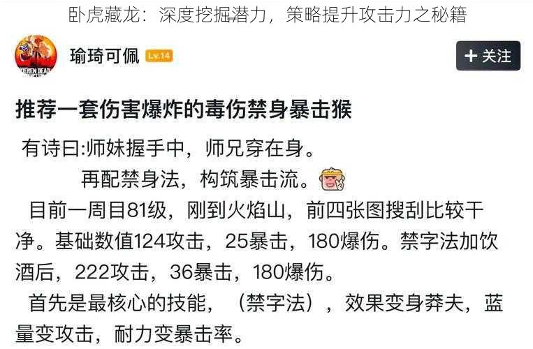 卧虎藏龙：深度挖掘潜力，策略提升攻击力之秘籍