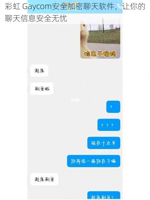 彩虹 Gaycom安全加密聊天软件，让你的聊天信息安全无忧