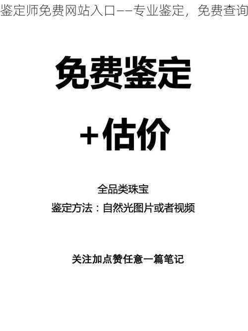 鉴定师免费网站入口——专业鉴定，免费查询