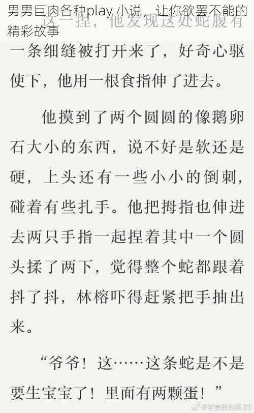 男男巨肉各种play 小说，让你欲罢不能的精彩故事