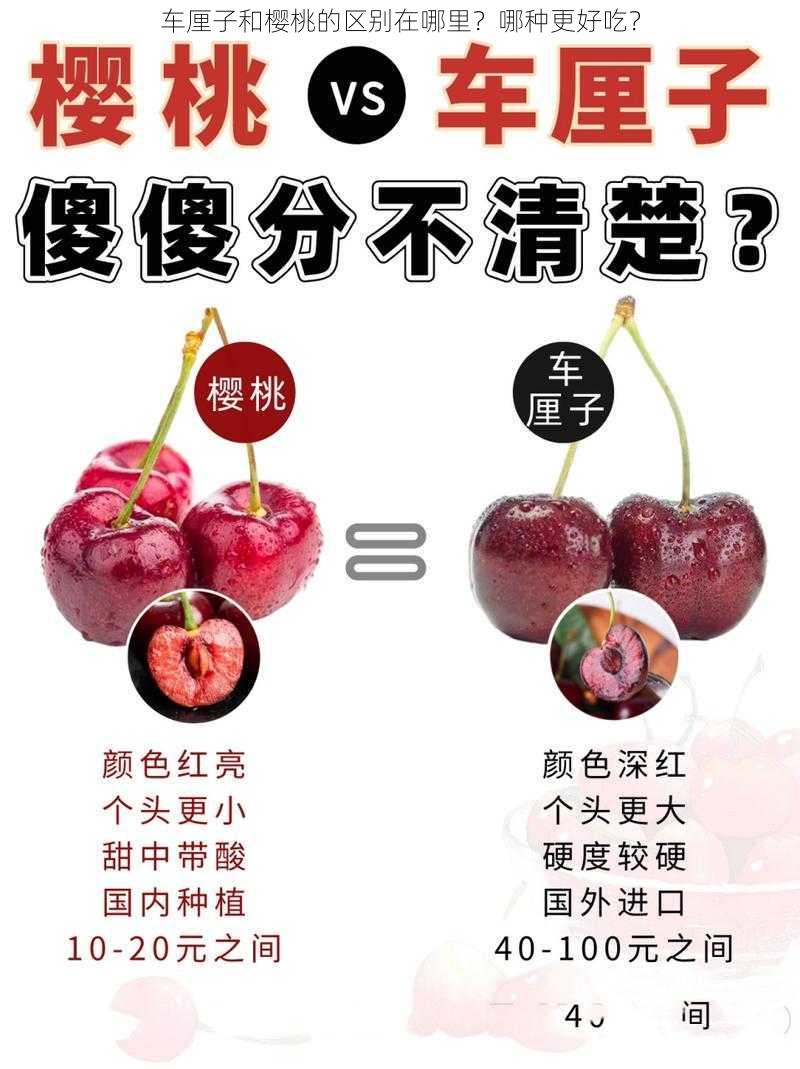 车厘子和樱桃的区别在哪里？哪种更好吃？