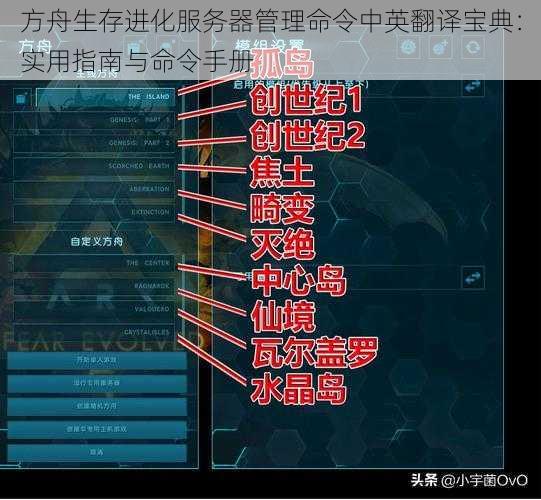 方舟生存进化服务器管理命令中英翻译宝典：实用指南与命令手册