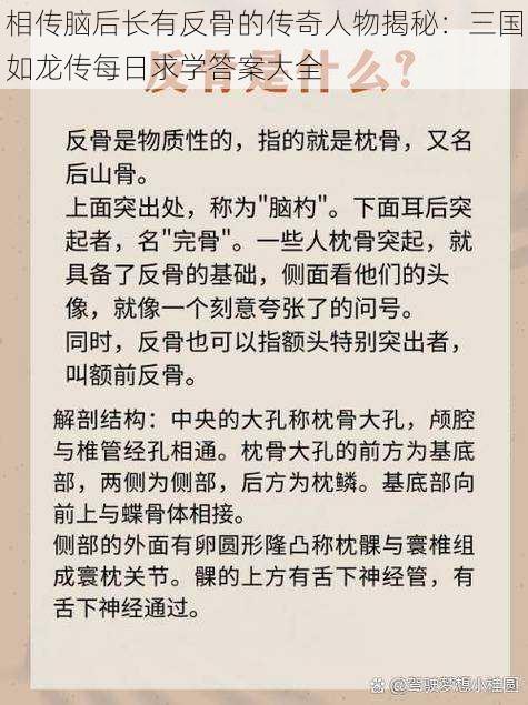 相传脑后长有反骨的传奇人物揭秘：三国如龙传每日求学答案大全