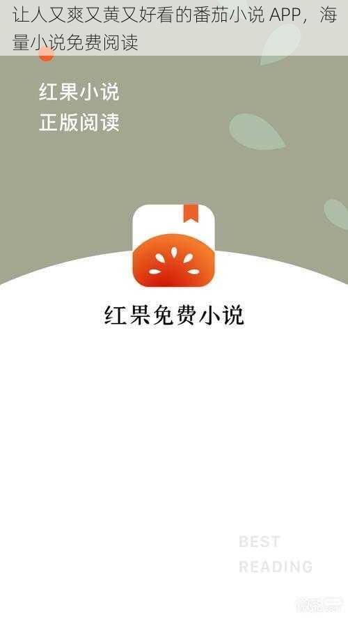 让人又爽又黄又好看的番茄小说 APP，海量小说免费阅读