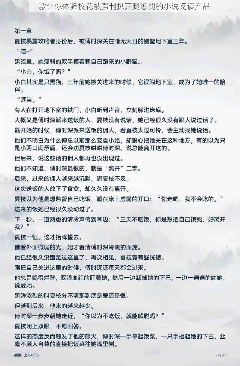 一款让你体验校花被强制扒开腿惩罚的小说阅读产品