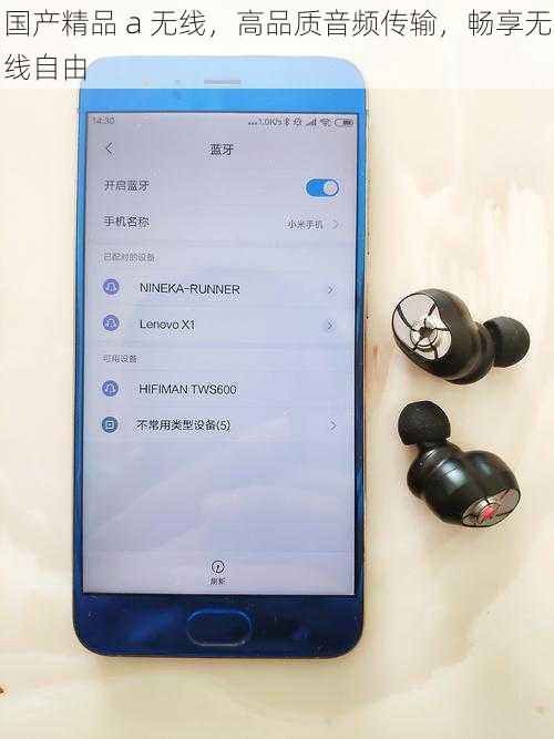 国产精品 a 无线，高品质音频传输，畅享无线自由