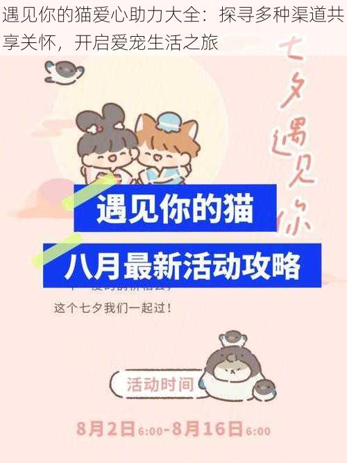 遇见你的猫爱心助力大全：探寻多种渠道共享关怀，开启爱宠生活之旅