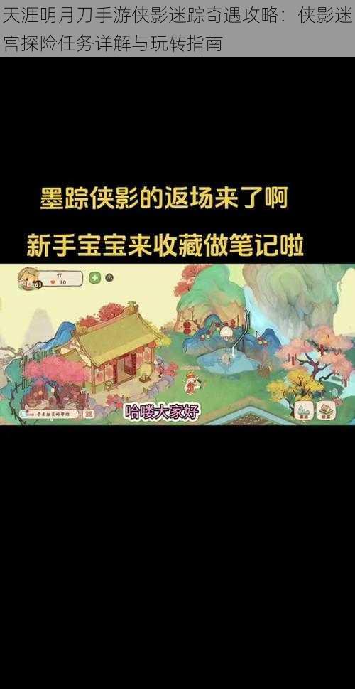 天涯明月刀手游侠影迷踪奇遇攻略：侠影迷宫探险任务详解与玩转指南