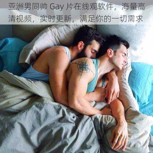 亚洲男同帅 Gay 片在线观软件，海量高清视频，实时更新，满足你的一切需求