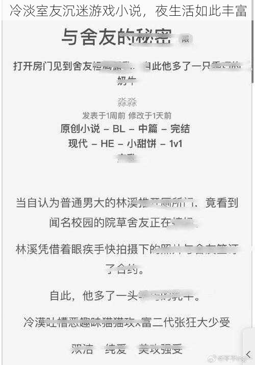 冷淡室友沉迷游戏小说，夜生活如此丰富