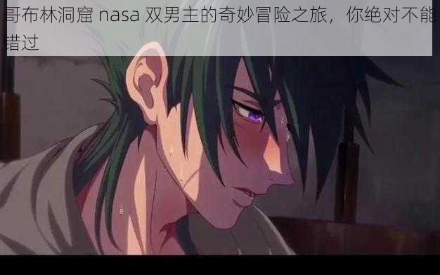 哥布林洞窟 nasa 双男主的奇妙冒险之旅，你绝对不能错过