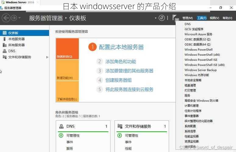 日本 windowsserver 的产品介绍