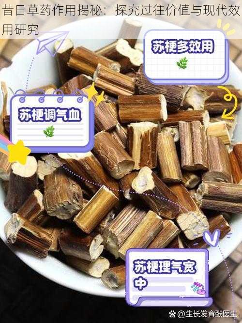 昔日草药作用揭秘：探究过往价值与现代效用研究