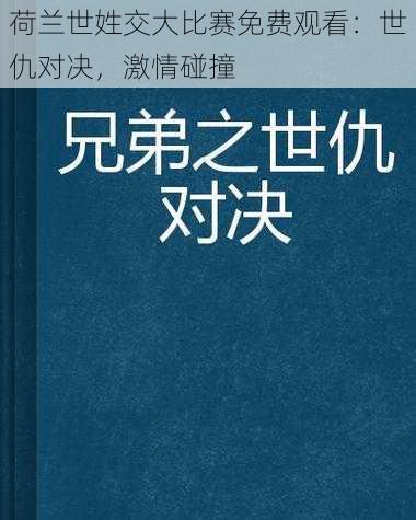 荷兰世姓交大比赛免费观看：世仇对决，激情碰撞