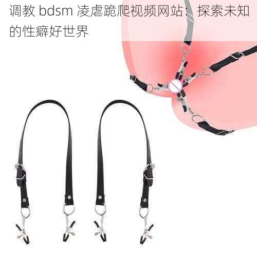 调教 bdsm 凌虐跪爬视频网站：探索未知的性癖好世界