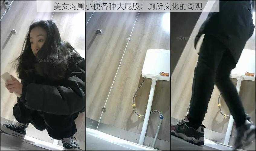 美女沟厕小便各种大屁股：厕所文化的奇观