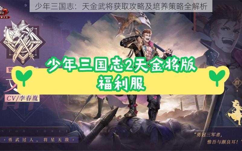 少年三国志：天金武将获取攻略及培养策略全解析