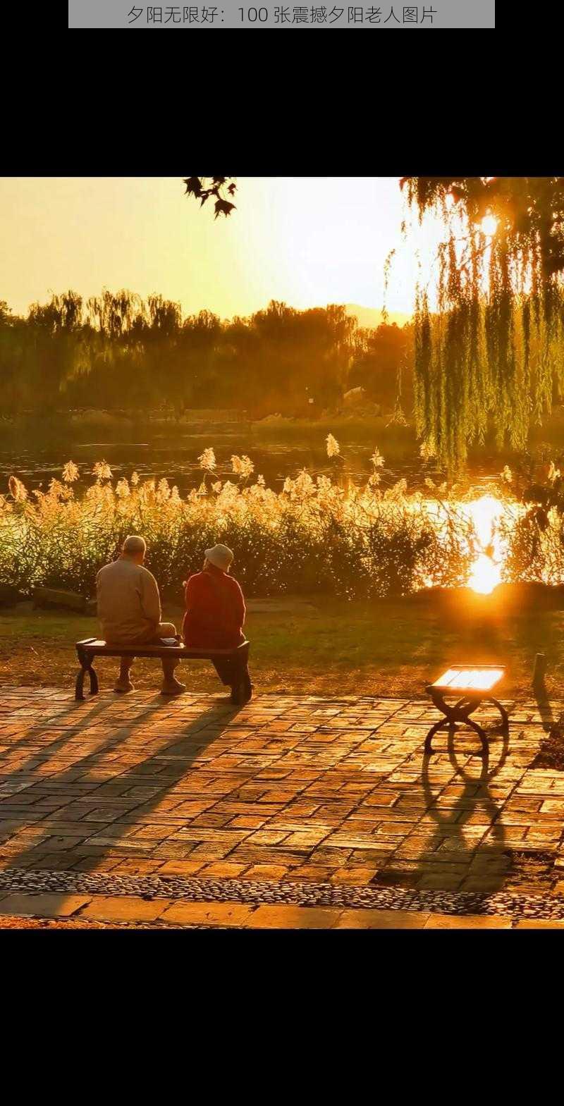 夕阳无限好：100 张震撼夕阳老人图片