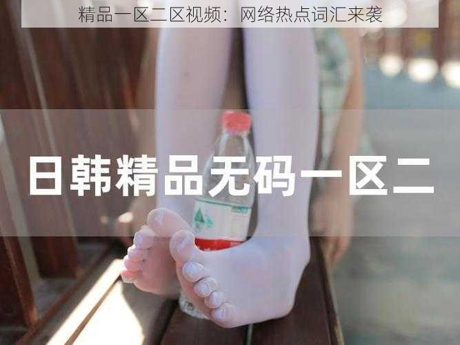 精品一区二区视频：网络热点词汇来袭