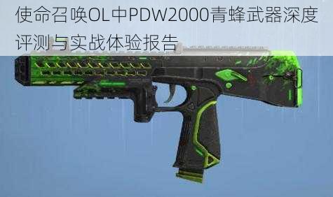 使命召唤OL中PDW2000青蜂武器深度评测与实战体验报告