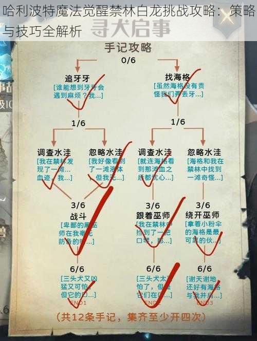 哈利波特魔法觉醒禁林白龙挑战攻略：策略与技巧全解析