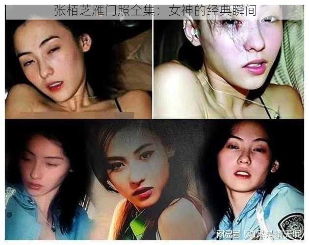 张栢芝雁门照全集：女神的经典瞬间