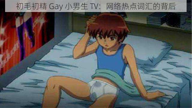 初毛初精 Gay 小男生 TV：网络热点词汇的背后