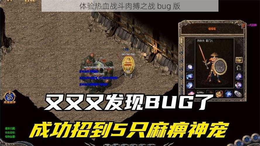 体验热血战斗肉搏之战 bug 版