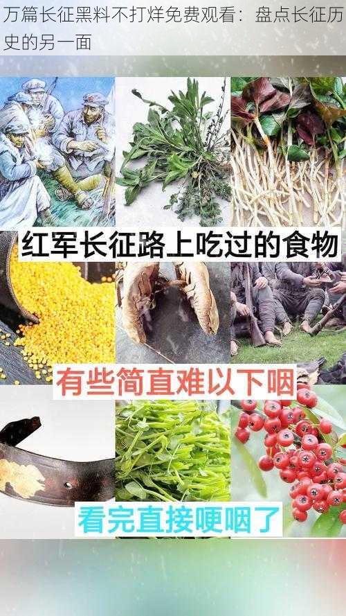 万篇长征黑料不打烊免费观看：盘点长征历史的另一面