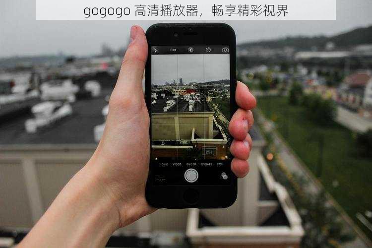 gogogo 高清播放器，畅享精彩视界