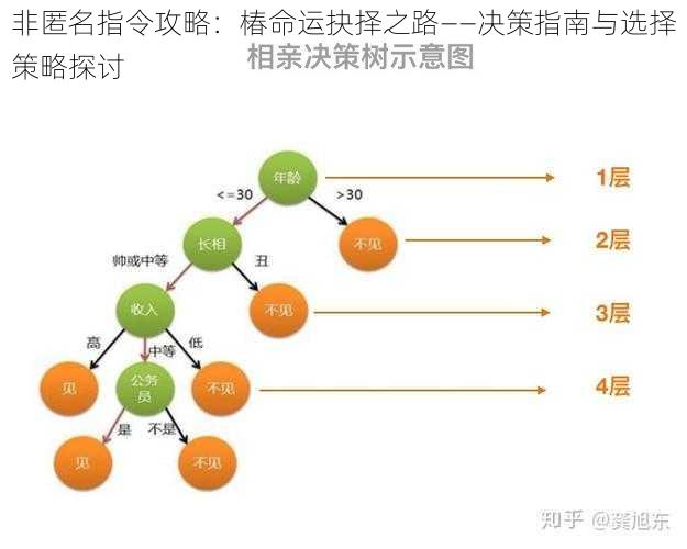 非匿名指令攻略：椿命运抉择之路——决策指南与选择策略探讨