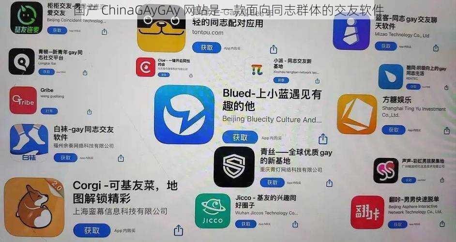 国产 ChinaGAyGAy 网站是一款面向同志群体的交友软件