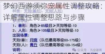 梦幻西游须弥宠属性调整攻略：详解属性调整思路与步骤