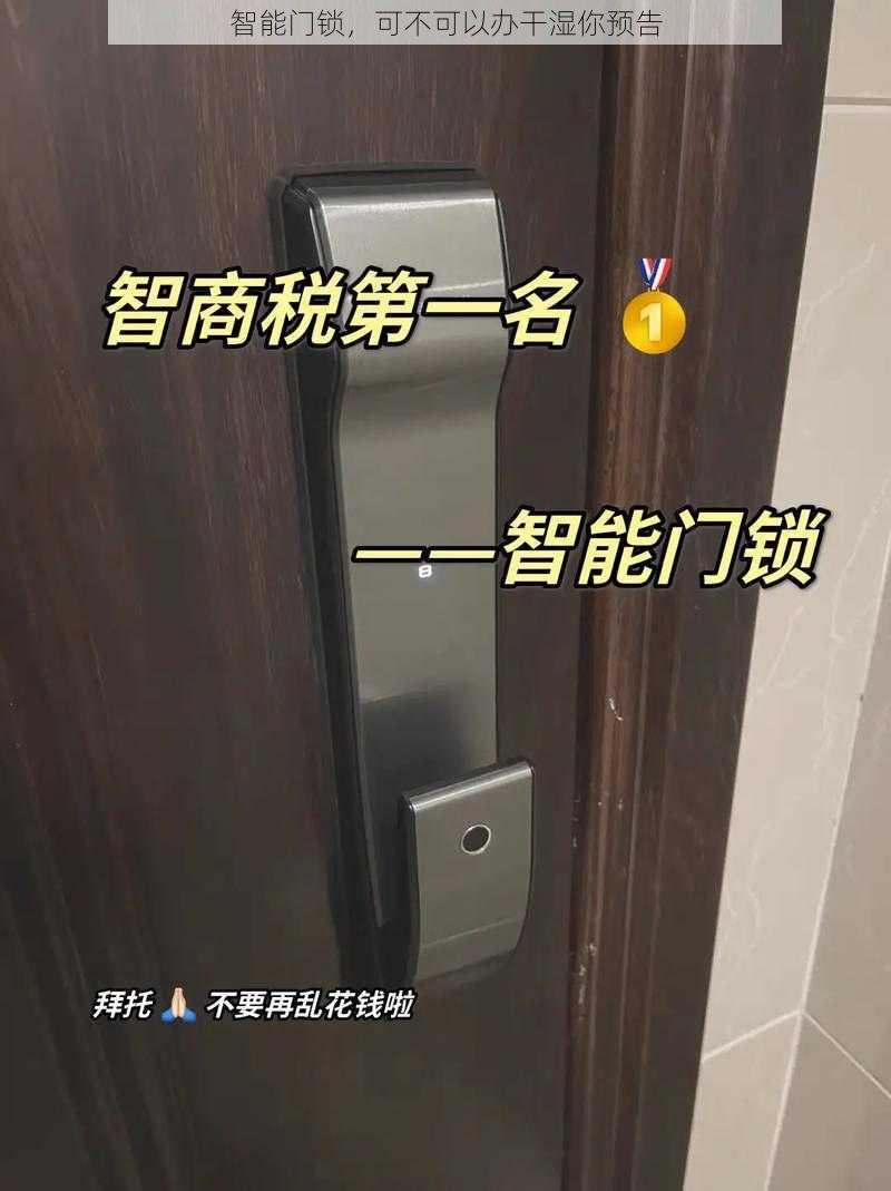 智能门锁，可不可以办干湿你预告