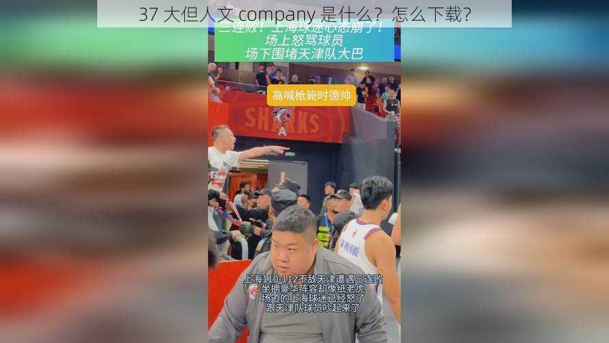 37 大但人文 company 是什么？怎么下载？