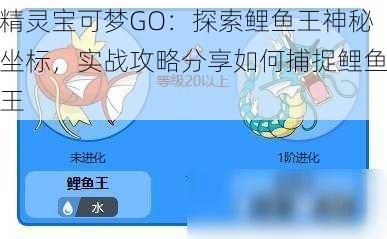 精灵宝可梦GO：探索鲤鱼王神秘坐标，实战攻略分享如何捕捉鲤鱼王