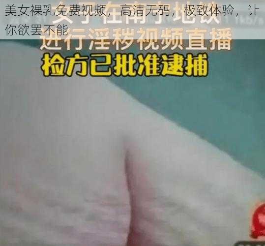 美女裸乳免费视频，高清无码，极致体验，让你欲罢不能