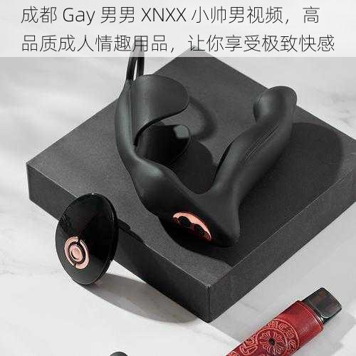 成都 Gay 男男 XNXX 小帅男视频，高品质成人情趣用品，让你享受极致快感